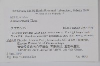 岳樺藏品圖，第2張