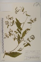 登錄號:S074741藏品圖，第1張