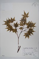 登錄號:S074747藏品圖，第1張