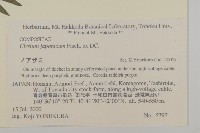 小薊藏品圖，第2張