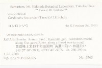 白花碎米薺藏品圖，第2張