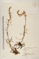 登錄號:S074792藏品圖，第1張