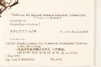 登錄號:S074792藏品圖，第2張