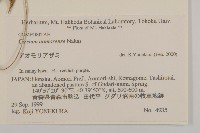 登錄號:S074794藏品圖，第2張