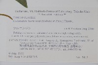 羊乳、四葉參藏品圖，第2張