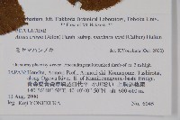 登錄號:S074815藏品圖，第2張