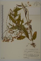 登錄號:S074816藏品圖，第1張