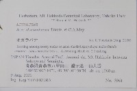 花楷槭藏品圖，第2張