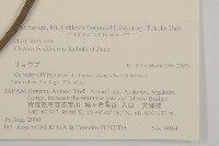 華東山柳藏品圖，第2張