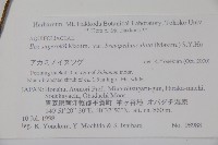 太平山冬青藏品圖，第2張