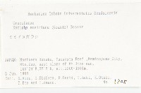 奧地利葶藶藏品圖，第2張