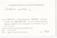 水花菜藏品圖，第2張