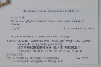 登錄號:S074867藏品圖，第2張