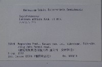 登錄號:S074874藏品圖，第2張