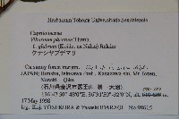 登錄號:S074879藏品圖，第2張