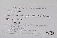 登錄號:S074881藏品圖，第2張