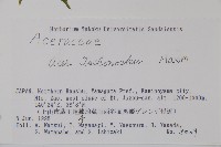 登錄號:S074886藏品圖，第2張