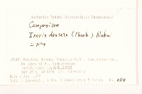 齒緣苦實藏品圖，第2張