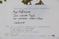 登錄號:S074893藏品圖，第2張