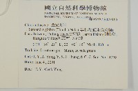 草珊瑚、紅果金粟蘭藏品圖，第2張