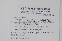 直立半插花藏品圖，第2張