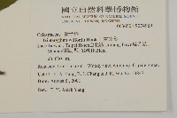 雷公藤藏品圖，第2張