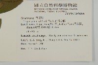 一枝香藏品圖，第2張