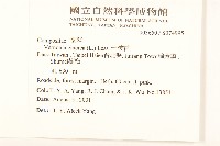 一枝香藏品圖，第4張