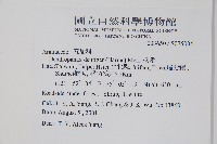臺灣樹參藏品圖，第2張