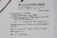 鐘萼木藏品圖，第2張