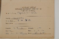 地膽草、毛蓮菜藏品圖，第2張