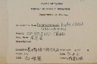 茯苓菜藏品圖，第1張