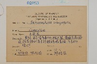 茯苓菜藏品圖，第2張