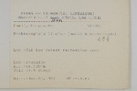 茯苓菜藏品圖，第1張