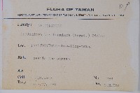 大錦蘭藏品圖，第2張