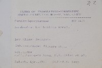 大錦蘭藏品圖，第2張