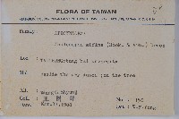 小錦蘭藏品圖，第2張