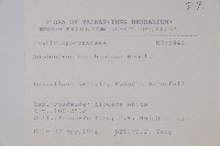 大錦蘭藏品圖，第2張