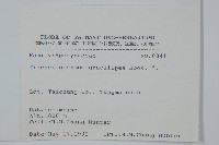 細梗絡石藏品圖，第2張