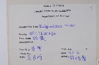 酸藤藏品圖，第2張