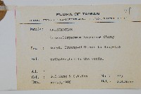 蘭嶼絡石藏品圖，第2張