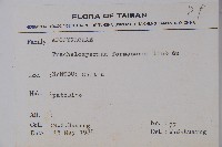 臺灣絡石藏品圖，第2張