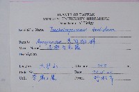 台灣白花藤藏品圖，第2張