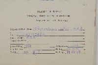 地膽草、毛蓮菜藏品圖，第2張