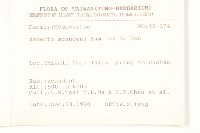 蔓黃菀藏品圖，第2張