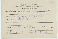 獨行菜藏品圖，第2張