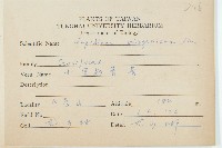 獨行菜藏品圖，第2張