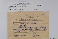 普刺特草藏品圖，第2張