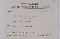 高山沙參藏品圖，第2張