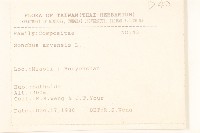 苦苣菜藏品圖，第2張